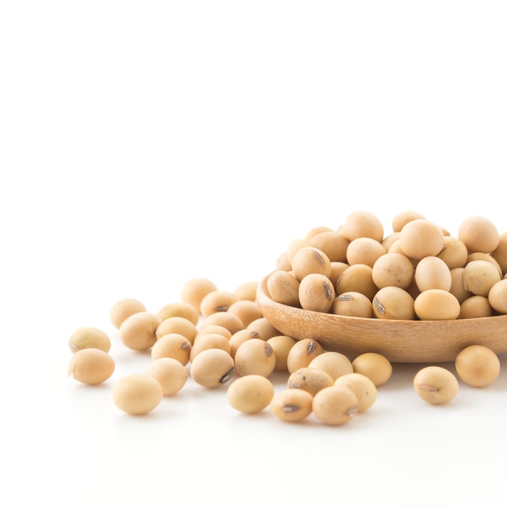 soy beans on white background